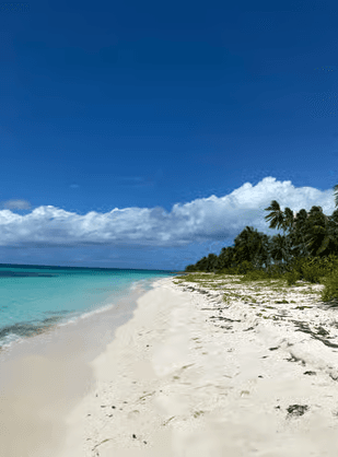 VIP na wyspie Saona: 4 plaże, Mano Juan i Canto de la Playa - Photo 5 (Gallery view)