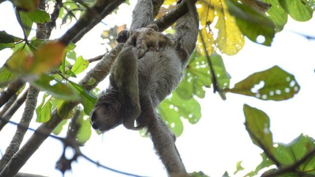 Manuel Antonio: Nauyaca Waterfalls All Inclusive Full Day - Photo 3 (Gallery view)