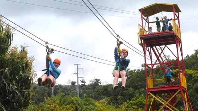 Río Grande: Rainforest Zipline Experience - Photo 5 (Gallery view)