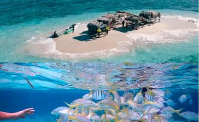 Cayo Arena: Paradise Island and Mangroves Tour - Photo 2 (Gallery view)