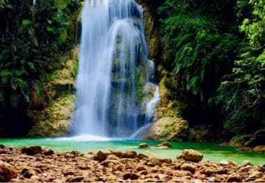 From Samaná: El Limón Waterfall Horseback Ride with Lunch - Photo 4 (Gallery view)