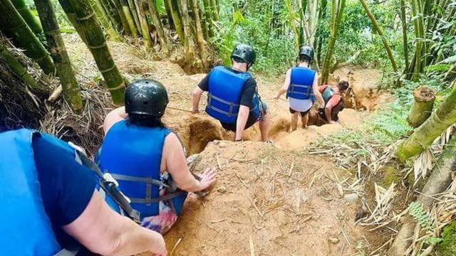 圣胡安出发的云雀雨林波多黎各私人之旅 - Photo 4 (Gallery view)