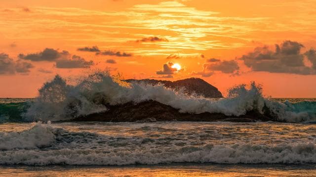 From San José: Full day Manuel Antonio National Park - Photo 5 (Gallery view)