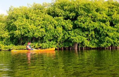 Miches: El Limón Lagoon Guided Kayak Tour with Guide - Photo 3 (Gallery view)