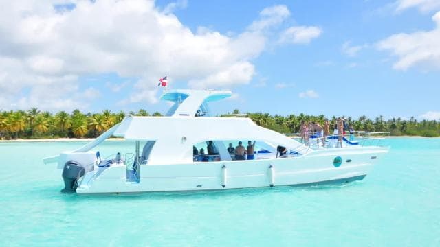 Desde Punta Cana: avistamiento de ballenas e isla Cayo Levantado - Photo 3 (Gallery view)
