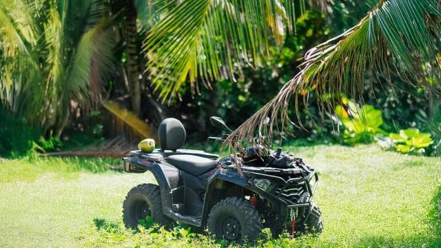 Small Group 4x4 ATV Punta Cana: Jungle & Wild Beaches - Photo 4 (Gallery view)