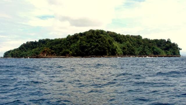 Playa Uvita: Caño Island Snorkeling Tour with Lunch - Photo 2 (Gallery view)
