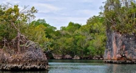 Private: Los Haitises National Park 2-Day Tour with Meals - Photo 5 (Gallery view)