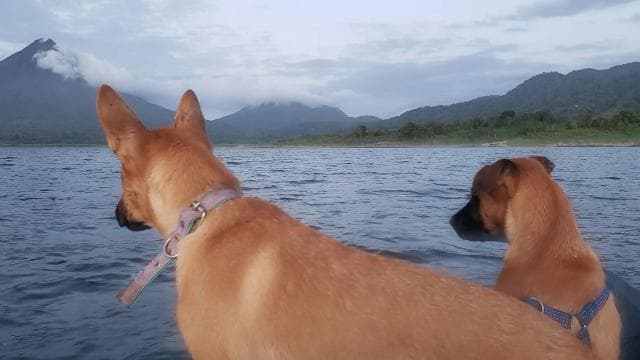 La Fortuna: *TOP* Wildlife Safari Float Experience by Kayak - Photo 3 (Gallery view)