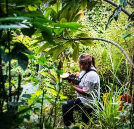 Punta Cana: Anamuya Mountains Guided Walking Tour - Dominican Republic