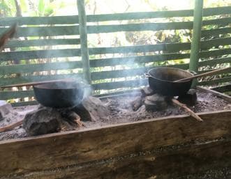 Da Bayahibe: safari di mezza giornata a Monkeyland - Photo 5 (Gallery view)