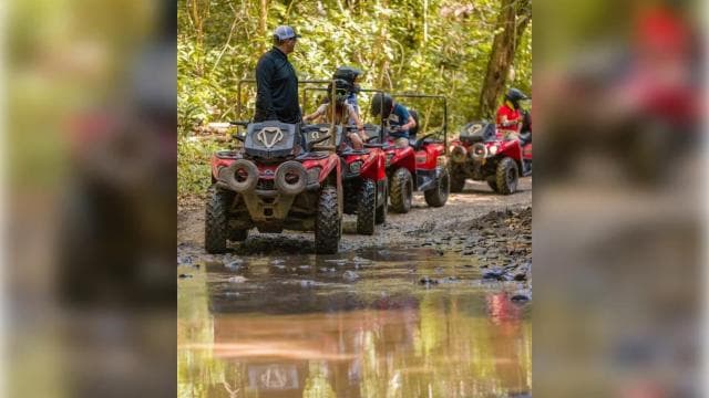 Carabalí Yağmur Ormanı Parkı: Rehberli ATV Macera Turu - Photo 3 (Gallery view)