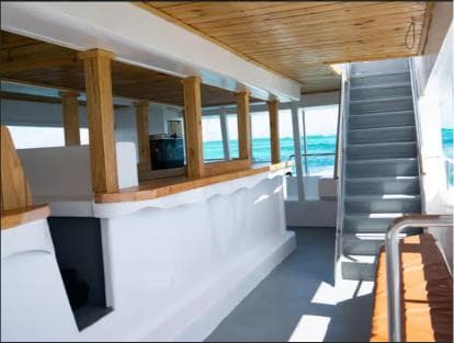 Punta Cana: Catalina Island Cruise with Lunch and Open Bar - Dominican Republic