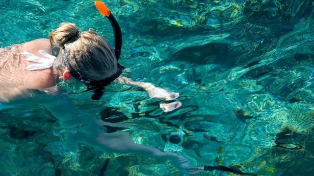 LICENSED Two-Hour Snorkeling Adventure Cahuita National Park - Photo 2 (Gallery view)