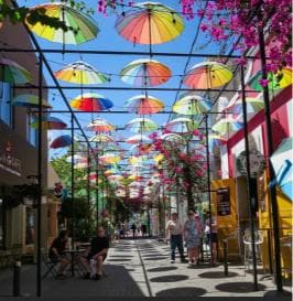 Puerto Plata: Walking Tour with Rum & Chocolate Tastings - Photo 4 (Gallery view)