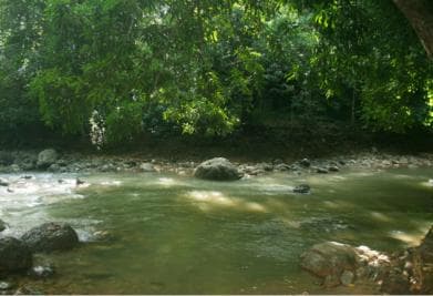 Samaná: El Limón Waterfall Horseback Riding Tour - Dominican Republic