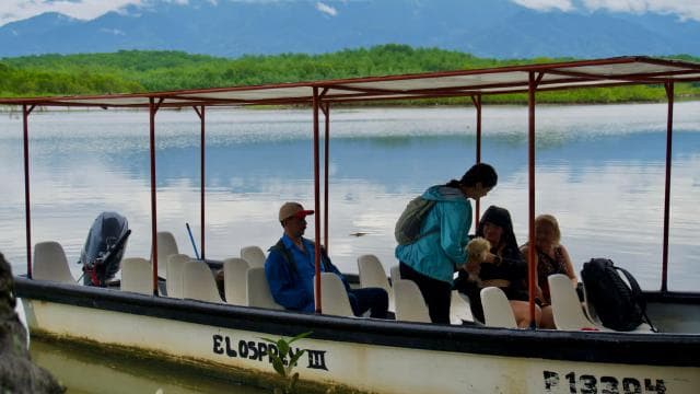 Quepos: Damas Island Authentic Local Mangrove Boat Tour - Photo 2 (Gallery view)
