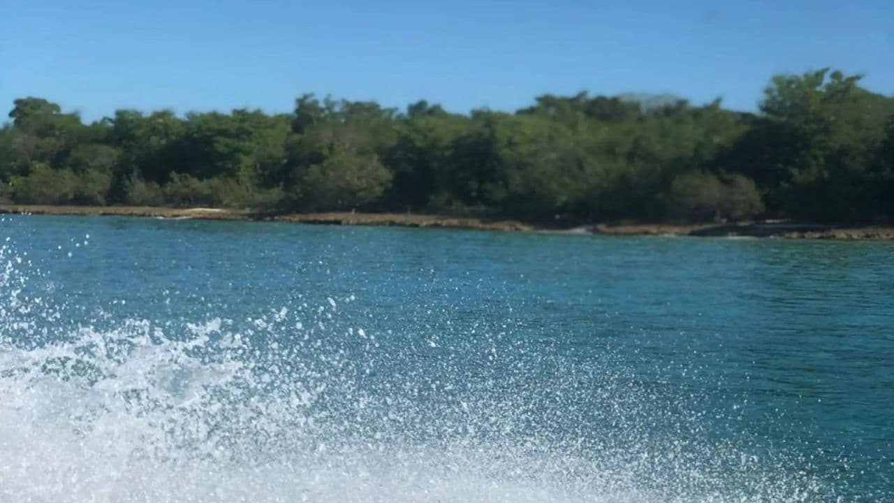 Din Punta Cana: tur Bayahibe și insulele Saona cu prânz - Photo 4 (Gallery view)
