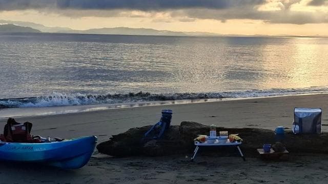 Puerto Jiménez : aventure en kayak dans le Golfo Dulce + Bioluminescence - Photo 3 (Gallery view)