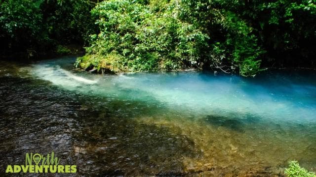 La Fortuna: Rio Celeste Waterfall and National Park Tour - Photo 5 (Gallery view)