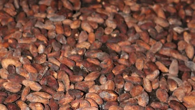 La Fortuna : expérience de fabrication du chocolat avec dégustations - Photo 3 (Gallery view)