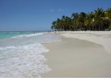 La Romana: Saona Island for Norwegian Sky Cruise Passengers - Photo 3 (Gallery view)