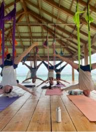 Las Galeras: Morning Yoga or Aerial Yoga at Villa Serena - Photo 5 (Gallery view)