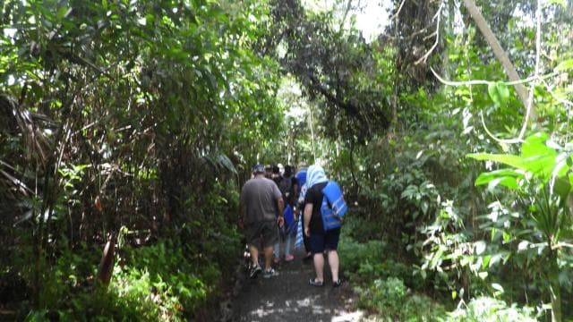 San Juanból: Rainforest Walk, Nature Swim és Luquillo Beach - Photo 3 (Gallery view)