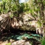 Bayahibe: caminata por la jungla en el parque nacional y snorkel en cenotes - Photo 4 (Gallery view)