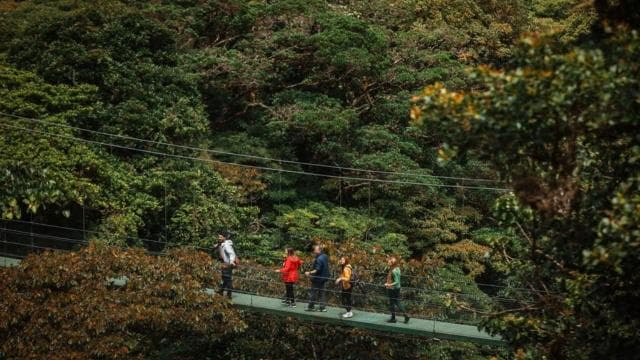 Monteverde: SkyWalk Hanging Bridges Adventure - Photo 4 (Gallery view)