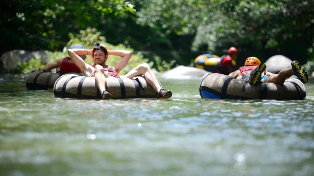 From Liberia: Tubing Adventure at Rio Negro - Photo 4 (Gallery view)