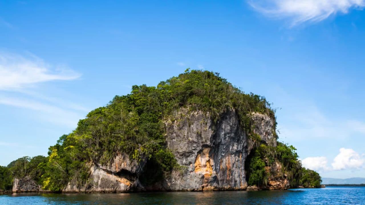Discover Los Haitises National Park with Delicious Lunch - Photo 3 (Gallery view)
