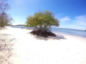Punta Rucia Cayo Arena: Paradise Island and Mangroves Tour - Photo 4 (Gallery view)