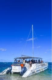 Punta Cana Bavaro: Private catamaran boat with snorkeling, open bar, and sailing - Photo 5 (Gallery view)