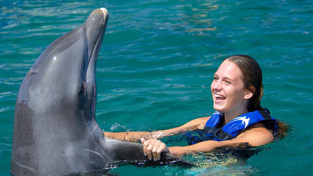 Dolphin Swim in Punta Cana – Best 60-min Dolphin Discovery - Dominican Republic