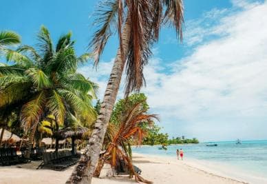 Private: Saona Island Full-Day Escape with Meals & Beverages - Photo 5 (Gallery view)