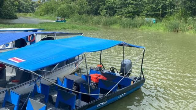 Tortuguero Canal Tour with history from Limon - Photo 2 (Gallery view)