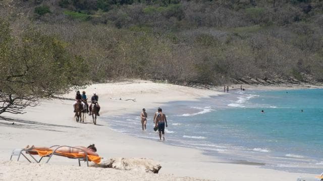From Brasilito: 1-Hour Horseback Riding Beach Tour - Dominican Republic