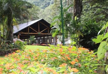 Soukromé: Jungle Buggy Zipline Combo Adventure na La Hacienda - Photo 2 (Gallery view)