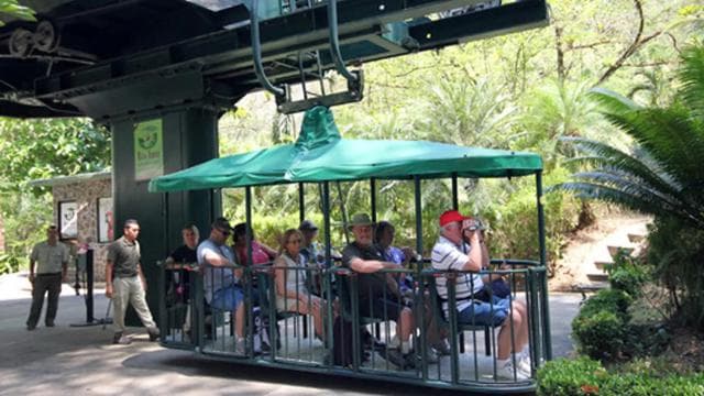 Jaco Beach: Pacific Aerial Tram at Rainforest Adventures - Photo 5 (Gallery view)