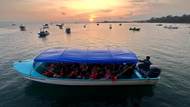 Puerto Jiménez: Private 1-Day Tour to Sirena in Corcovado - Photo 2 (Gallery view)