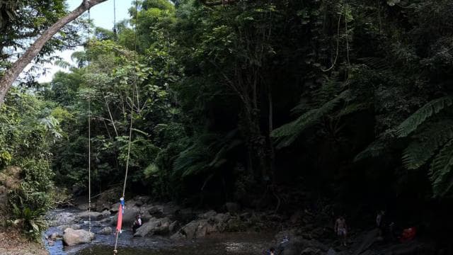 Wycieczka po El Yunque, wycieczka po rzece i zjeżdżalniach wodnych - Photo 4 (Gallery view)