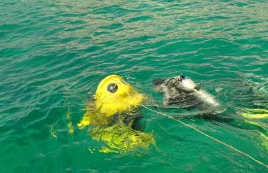 Punta Cana: Scuba Doo Adventure with Round-Trip Transfer - Photo 3 (Gallery view)