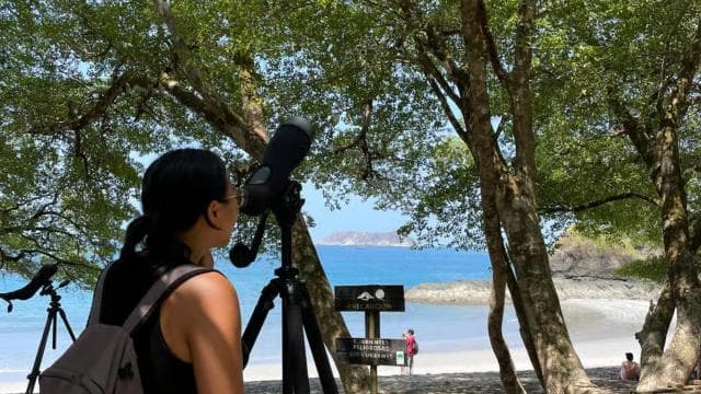 Manuel Antonio National Park: Animal watching hike - Photo 2 (Gallery view)