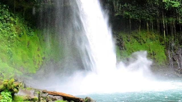 La Fortuna: Horseback Ride to La Fortuna Waterfall - Photo 4 (Gallery view)