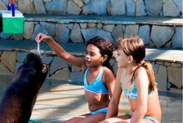 Puerto Plata Ocean World Tickets - Photo 2 (Gallery view)