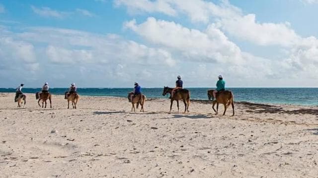 Playa Flamingo: Horseback Riding on the Beach - Dominican Republic