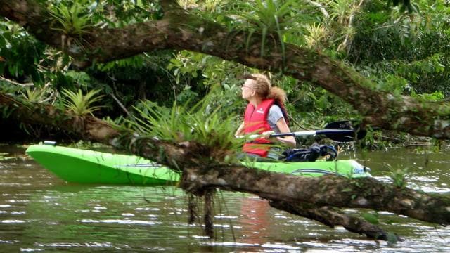 Tortuguero: Three Days & Two Nights All Included Tortuguero - Photo 4 (Gallery view)