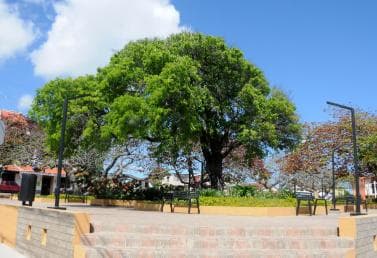 Puerto Plata City Tour and Cable Car Ride - Photo 4 (Gallery view)