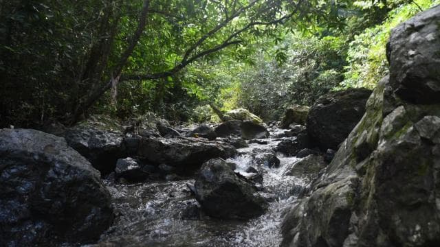 San Juan, PR: Hike to a Hidden Waterfall Adventure - Photo 2 (Gallery view)
